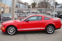 mustang